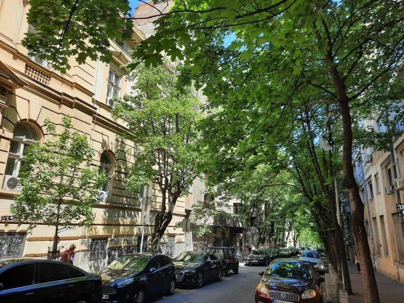 Apartment 51 - Bright, Spacious, Lux 1 Bedroom In The City Center - Stari Grad ベオグラード エクステリア 写真