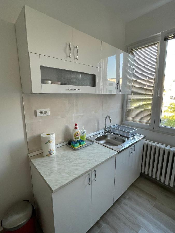 Apartment 51 - Bright, Spacious, Lux 1 Bedroom In The City Center - Stari Grad ベオグラード エクステリア 写真